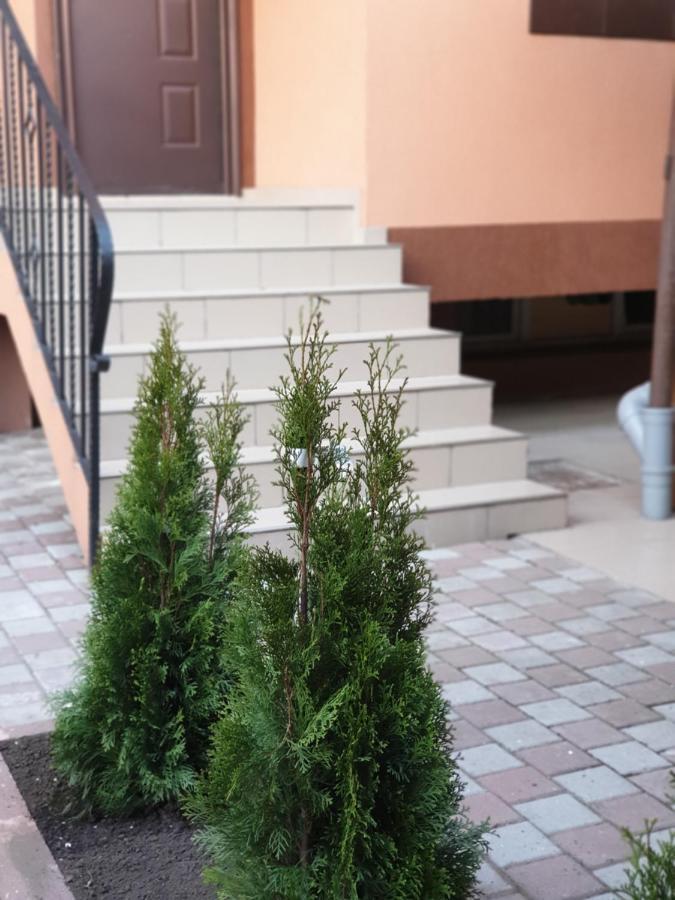 Villa Accommodation Букурещ Екстериор снимка