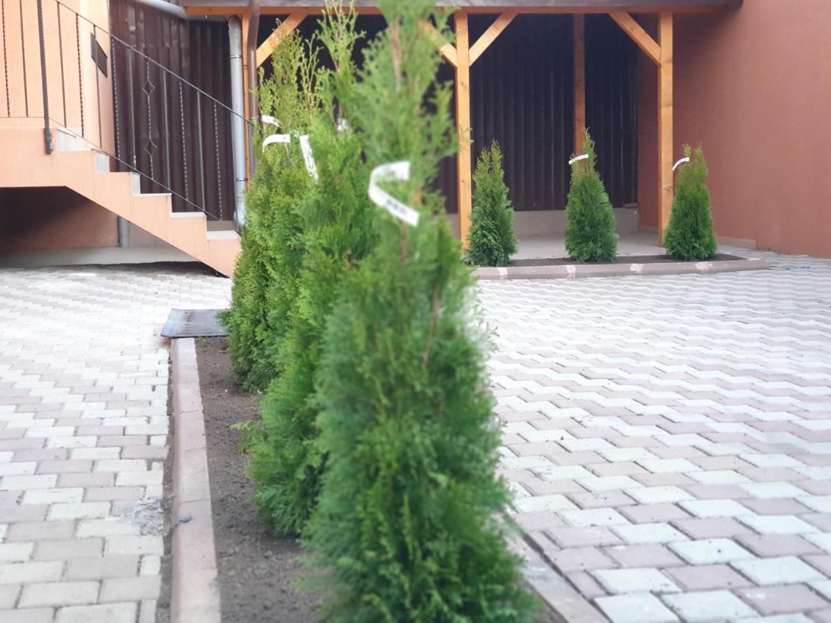 Villa Accommodation Букурещ Екстериор снимка
